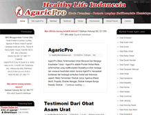 Tablet Screenshot of healthylifeindonesia.com